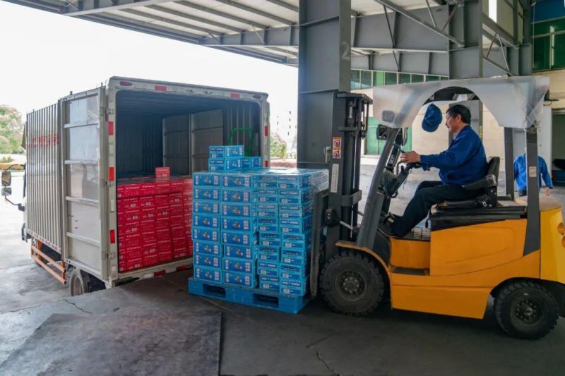 ��־�ɳ� ��������|2026���籭�ٷ� (����)���޹�˾ - 2026 World Cup��˾ο��һ�߿���������